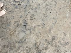 -启东黄金海滩景区