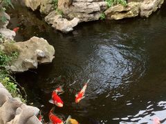 -鲤院·新中式美学·庭院餐厅(夫子庙店)