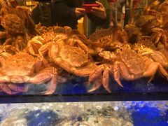 -蟹道乐(道顿堀本店)