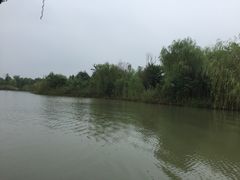 iphone_upload_pic-梁鸿国家湿地公园