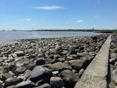 -吴淞炮台湾湿地森林公园烧烤区