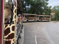 -清迈夜间动物园