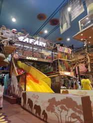 -卡通尼·Safari非洲探索乐园·生日会(金桥国际商业广场店)