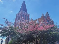 -海花岛旅游度假区