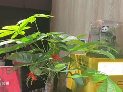 -聆耳·采耳·按摩·SPA(会展中心店)