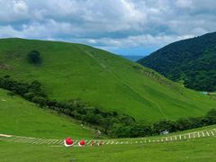 -大姆山草场