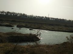-洨河生态公园