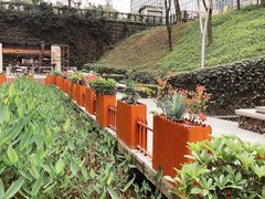 -奈雪的茶(领展中心城店)