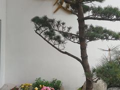 -陶享时光西餐·下午茶(信河街店)