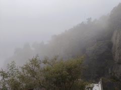 -北京鹫峰国家森林公园