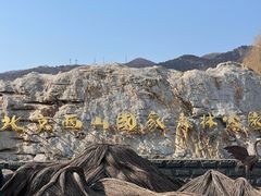 -北京西山国家森林公园