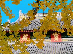 -西园戒幢律寺