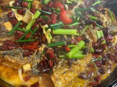 -老板恋上鱼(高新万达店)