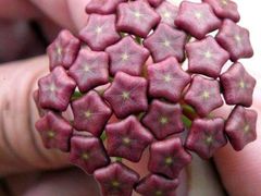 -天鹅湖生态旅游风景区