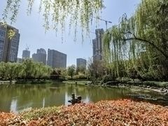 -木塔寺遗址生态公园