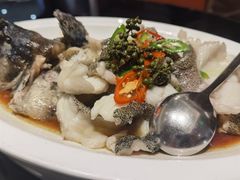 青花椒蒸龙胆鱼-闽和南(深圳万象城店)