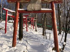 -宫城藏王狐狸村