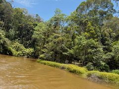 -热带雨林自然公园