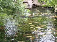 -水磨沟公园