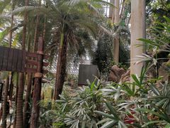 -龙达温泉生态城