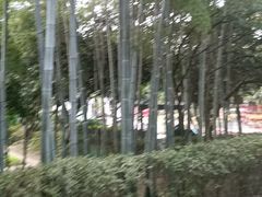 -故乡缘·香格里拉山庄(冷竹路店)