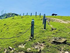 -大姆山草场