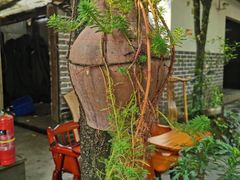 -青城甲(青城山店)