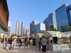 -合景·悠方(成都店)
