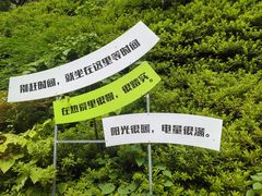 -长谷洞天
