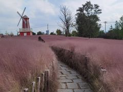 -羊亭河湿地公园