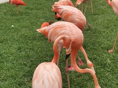 -秦皇岛野生动物园