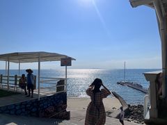 -放鸡岛生态旅游国际度假区