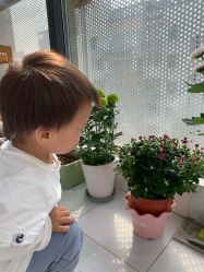 -巧虎kids体验中心(绿宝广场店)