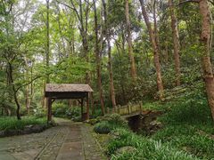 -杭州植物园