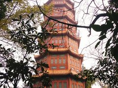 -房湖公园