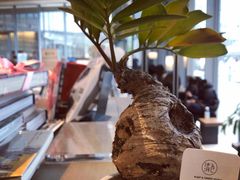 -茑屋书店(天目里店)