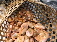 -瑞德姆美人鱼海底演艺主题餐厅(亚龙湾店)