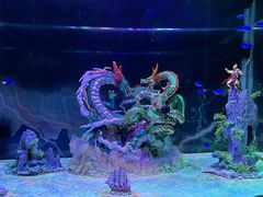 -上海海昌海洋公园