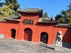 -洛阳白马寺
