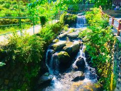 -藏龙百瀑风景区