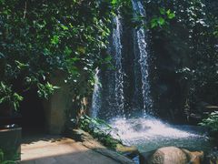 -南山植物园