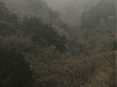 -木兰云雾山