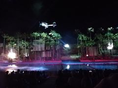 -三亚红色娘子军演艺公园景区