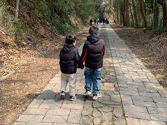 -上海佘山国家森林公园西佘山园