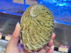 -協成海鮮火鍋(老店)