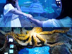 -多彩贵州城极地海洋世界