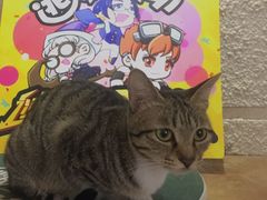 -逃脱反斗城沉浸剧情密室(北京路店)