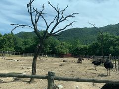 -西安秦岭野生动物园