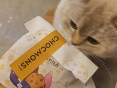 -CHOCMONS巧克怪兽(屏风街店)