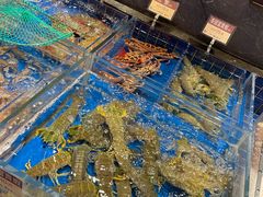 -協成海鮮火鍋(老店)